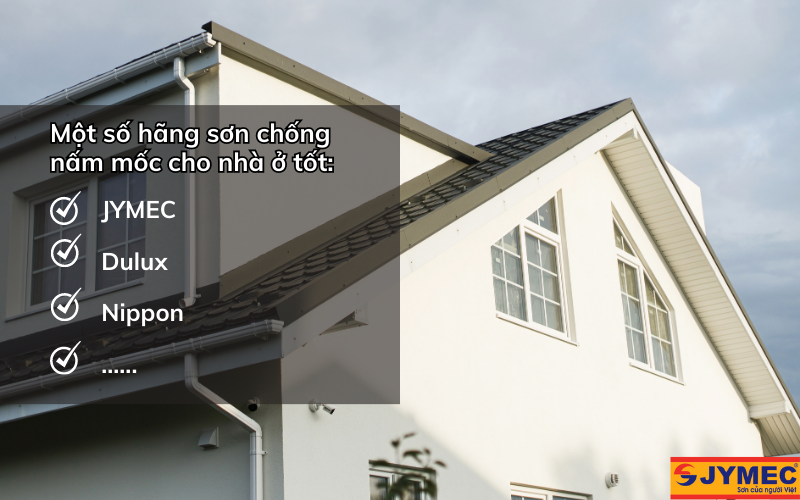 Một số hãng sơn chống nấm mốc nhất hiện nay