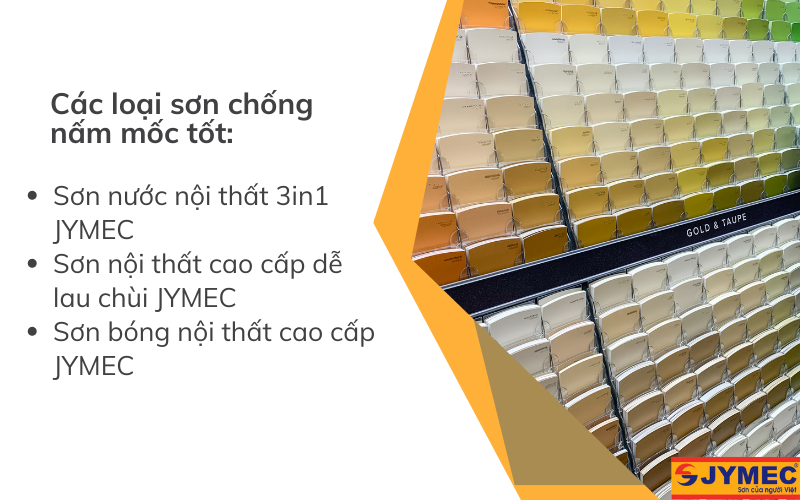 Một số loại sơn chống nấm mốc tốt cho nội thất