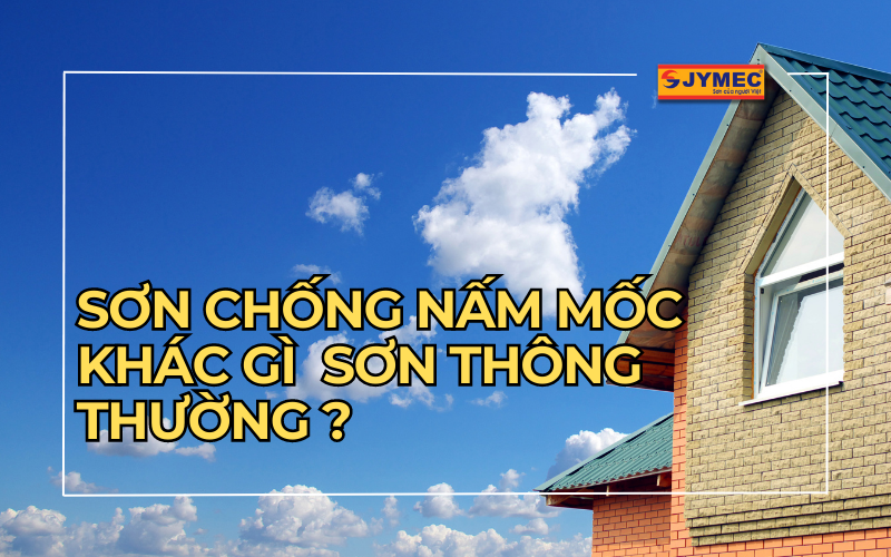 Sơn chống nấm mốc khác gì với các loại sơn thông thường?