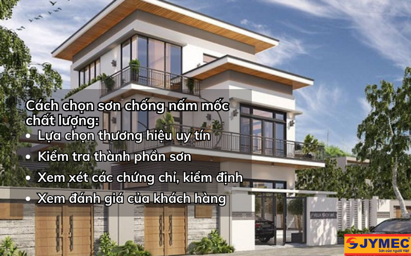 Chọn sơn chống nấm mốc hiệu quả