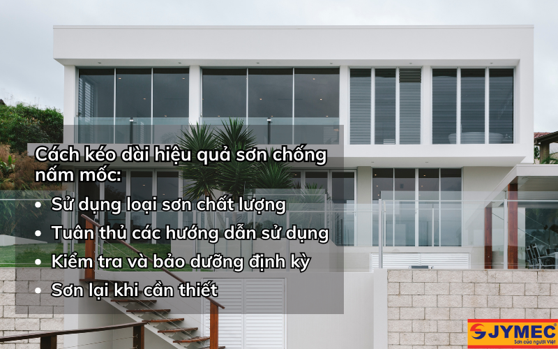 Cách kéo dài hiệu quả của sơn chống nấm mốc