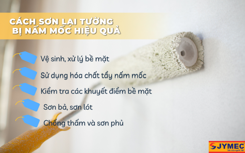 Cách sơn lại tường khi bị nấm mốc