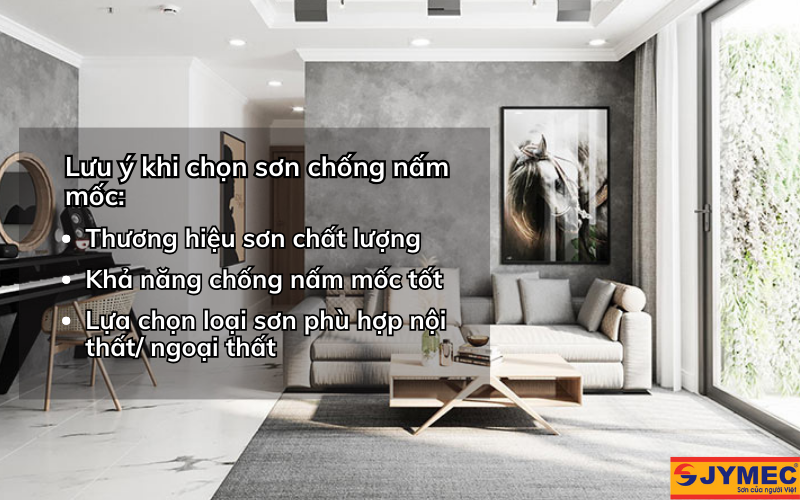 Lưu ý khi lựa chọn sơn chống nấm mốc đem lại hiệu quả