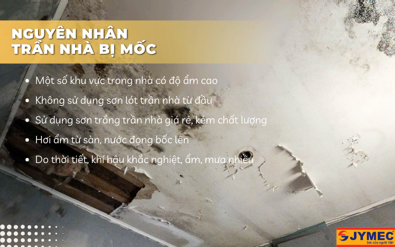 Nguyên nhân trần nhà bị mốc