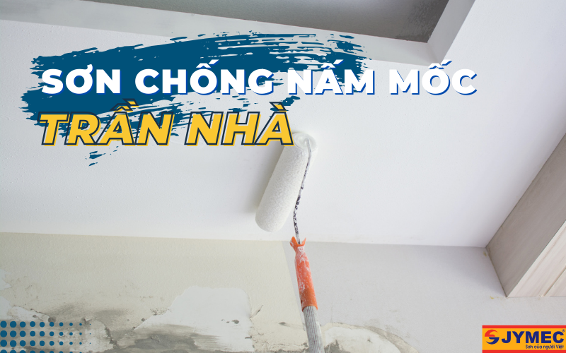 Sơn chống nấm mốc trần nhà được rất nhiều gia đình chọn