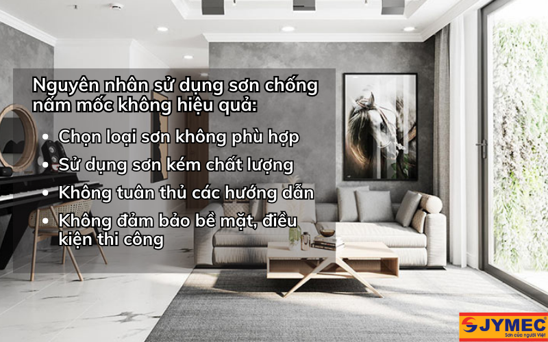 Tại sao việc sử dụng sơn chống nấm mốc không hiệu quả?