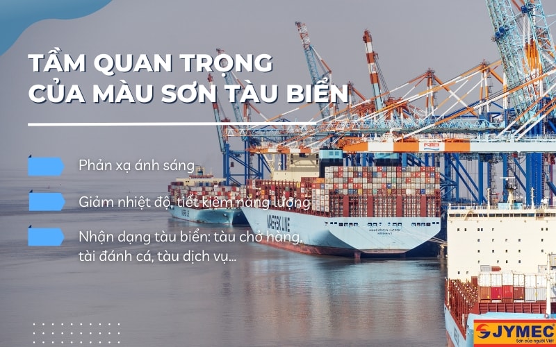 Tam Qun Trong Cua Mau Son Tau Bien