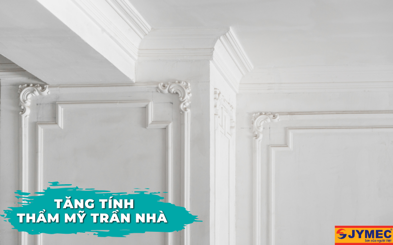 Sơn chống rêu mốc giúp tăng tính thẩm mỹ cho trần